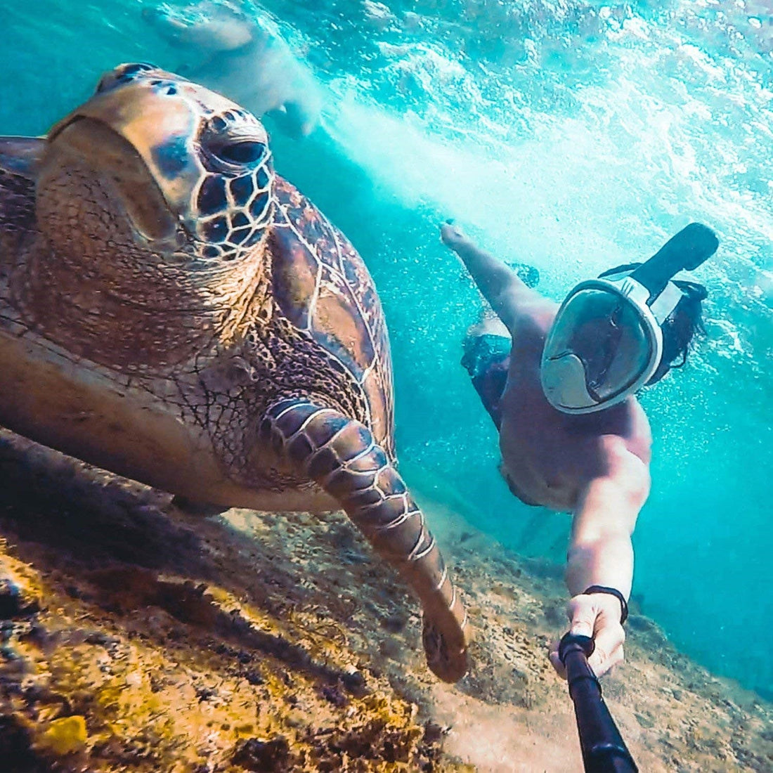 How to Prevent Fogging in Your Full Face Snorkel Mask