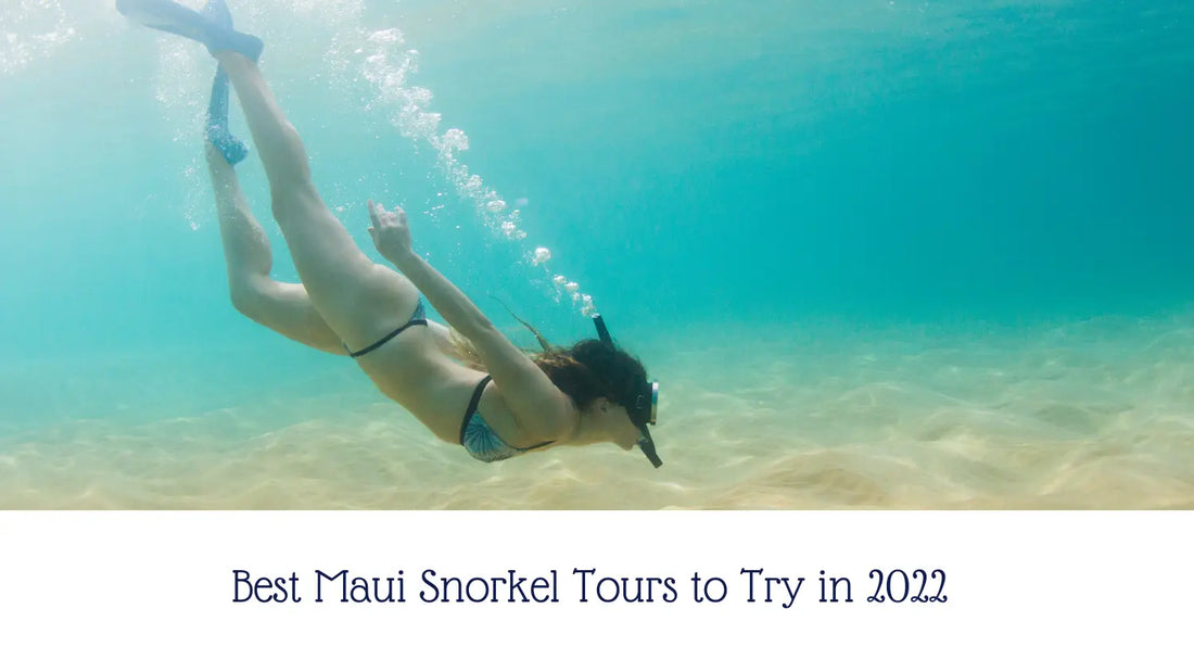 Best Maui Snorkel Tours to Try in 2022