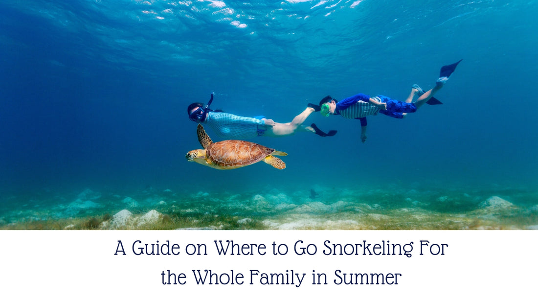 A Guide on Where to Go Snorkeling For the Whole Family in Summer