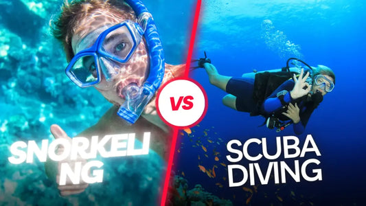 Snorkeling vs Scuba Diving: Which is the Best Choice for You?