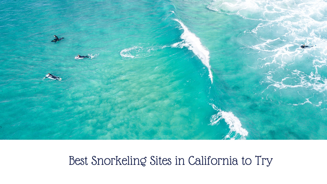 Best Snorkeling Sites in California to Try