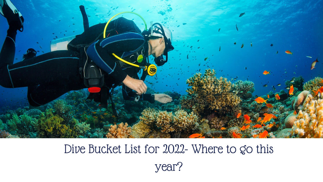 Dive Bucket List for 2022- Where to go this year?