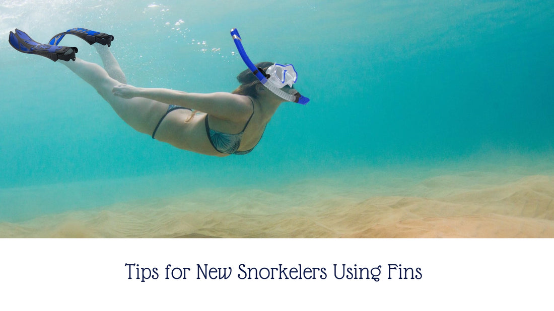Tips for New Snorkelers Using Fins
