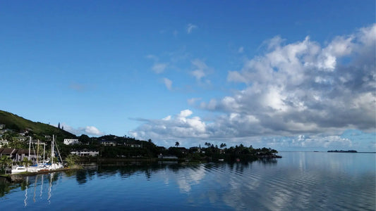 Hawaii Snorkeling: Discover the Top 20 Spots