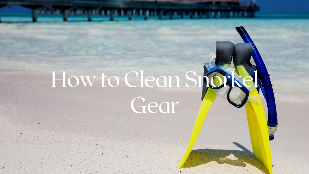 A Comprehensive Guide on How to Clean a Snorkel Mask Set Greatever