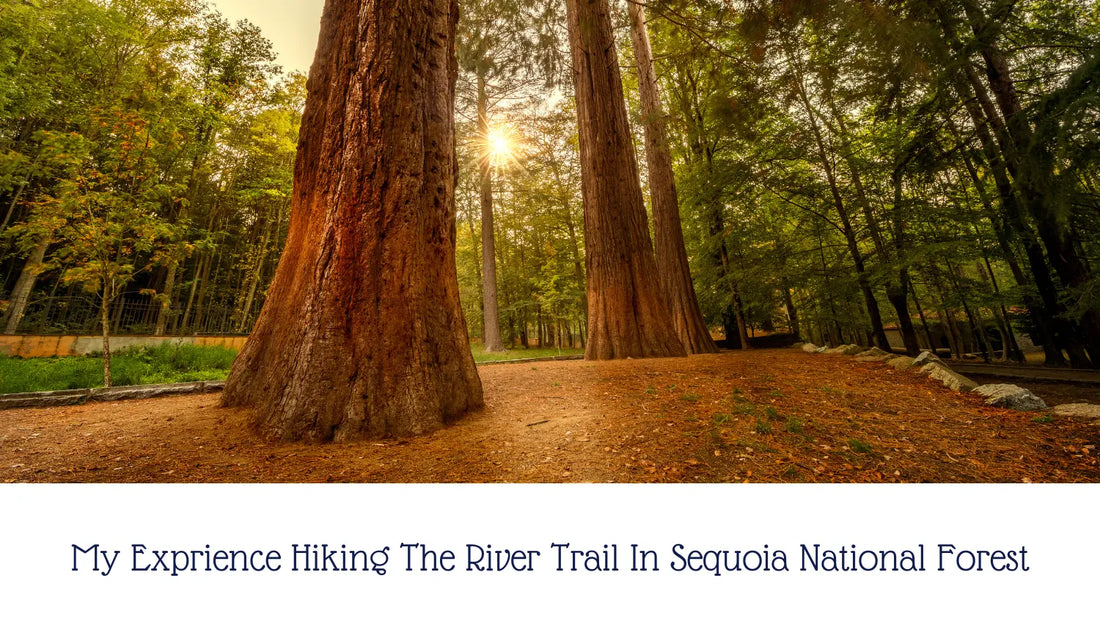 My Exprience Hiking The River Trail In Sequoia National Forest