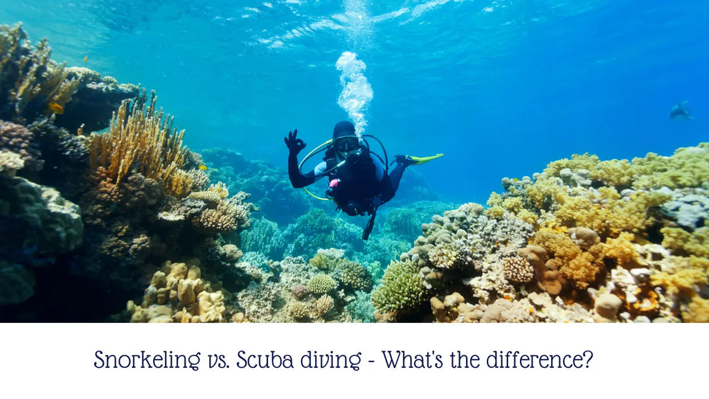 Snorkeling vs. Scuba divingWhat's the difference? Greatever