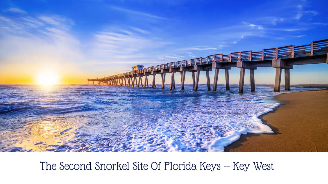 The Second Snorkel Site Of Florida Keys -- Key West