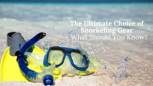 The Ultimate Choice of Snorkeling Gear - What Should You Know?